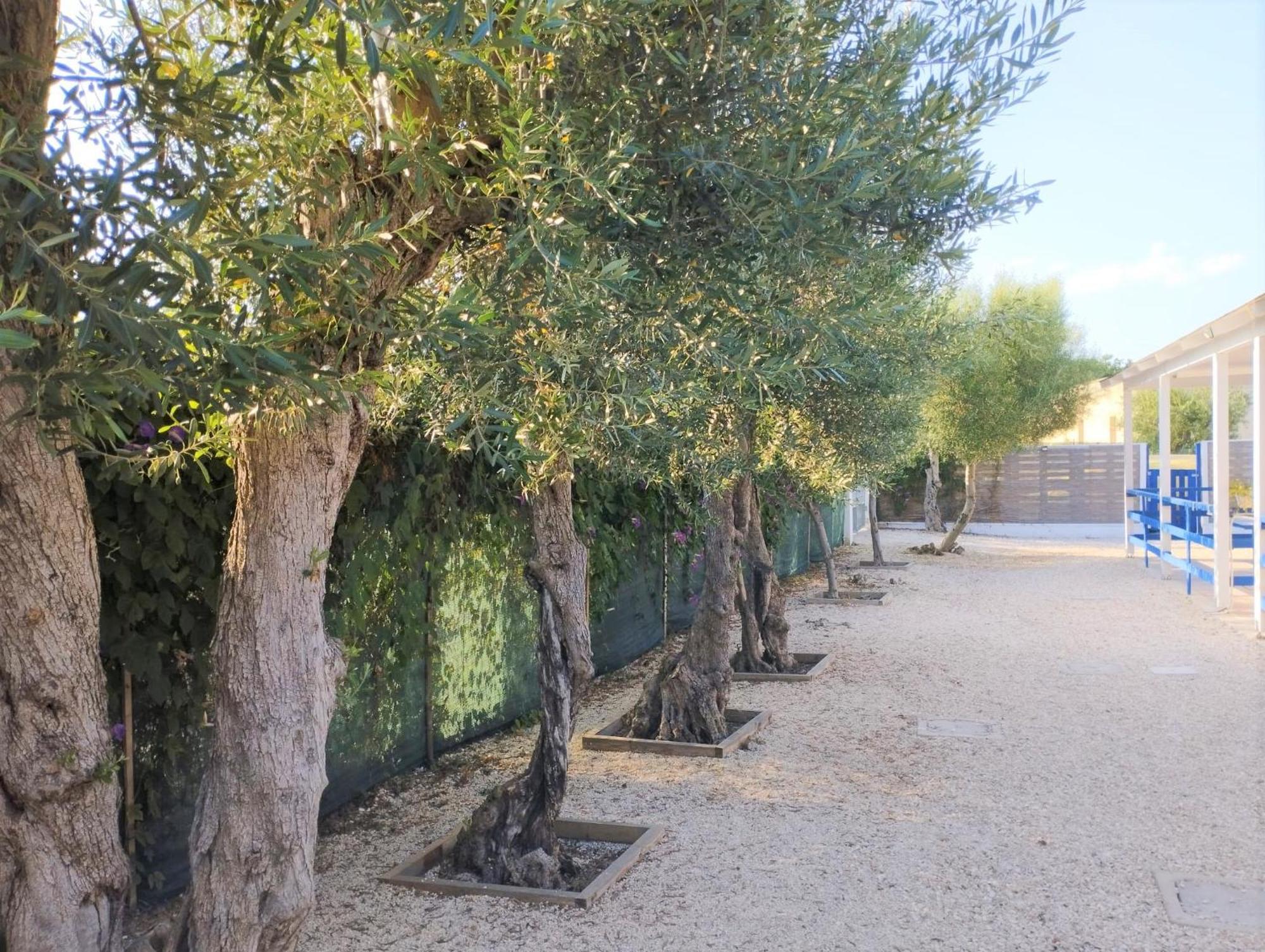 Gli Oleandri * Marina di Ginosa
